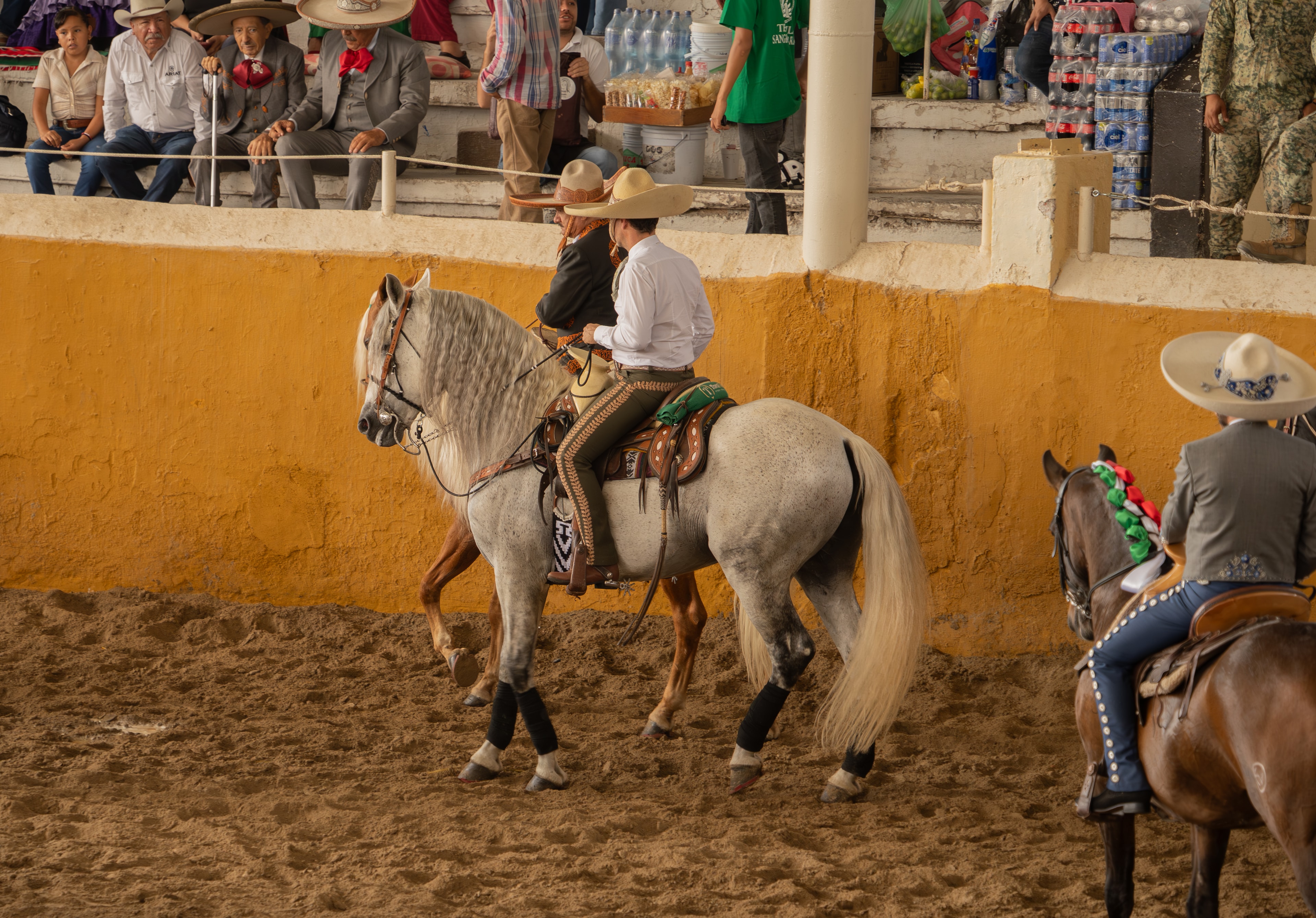 Charro montando caballo blanco en el Lienzo Charro ante el público